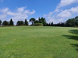 IMG_20200606_113024.jpg