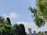 IMG_20200606_113650.jpg