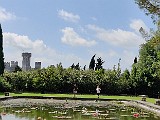 IMG_20200606_113710.jpg
