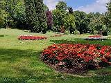 IMG_20200606_121048.jpg