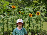 IMG_20200606_121327_Bokeh.jpg
