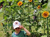 IMG_20200606_121347.jpg