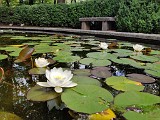 IMG_20200606_122831.jpg