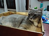 IMG_20200606_213742.jpg
