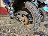 IMG_20200614_082618_Bokeh.jpg