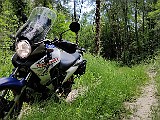 IMG_20200621_155812.jpg