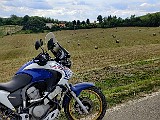 IMG_20200621_165737.jpg