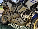 IMG_20200621_173623~01.jpg