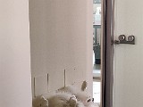 IMG_20200624_105833.jpg