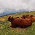 IMG_20200817_142711