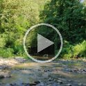 AndroVid_join_2416