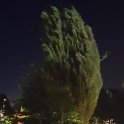 IMG_20200808_220204
