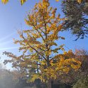 IMG_20201121_092610