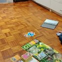 IMG_20201121_172205