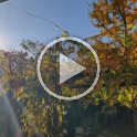 VID_20201121_092452