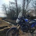 IMG_20220204_121731_Bokeh