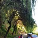 IMG-20220817-WA0041